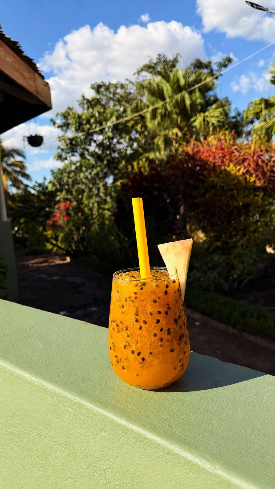 Suco Natural, Gastronomia 